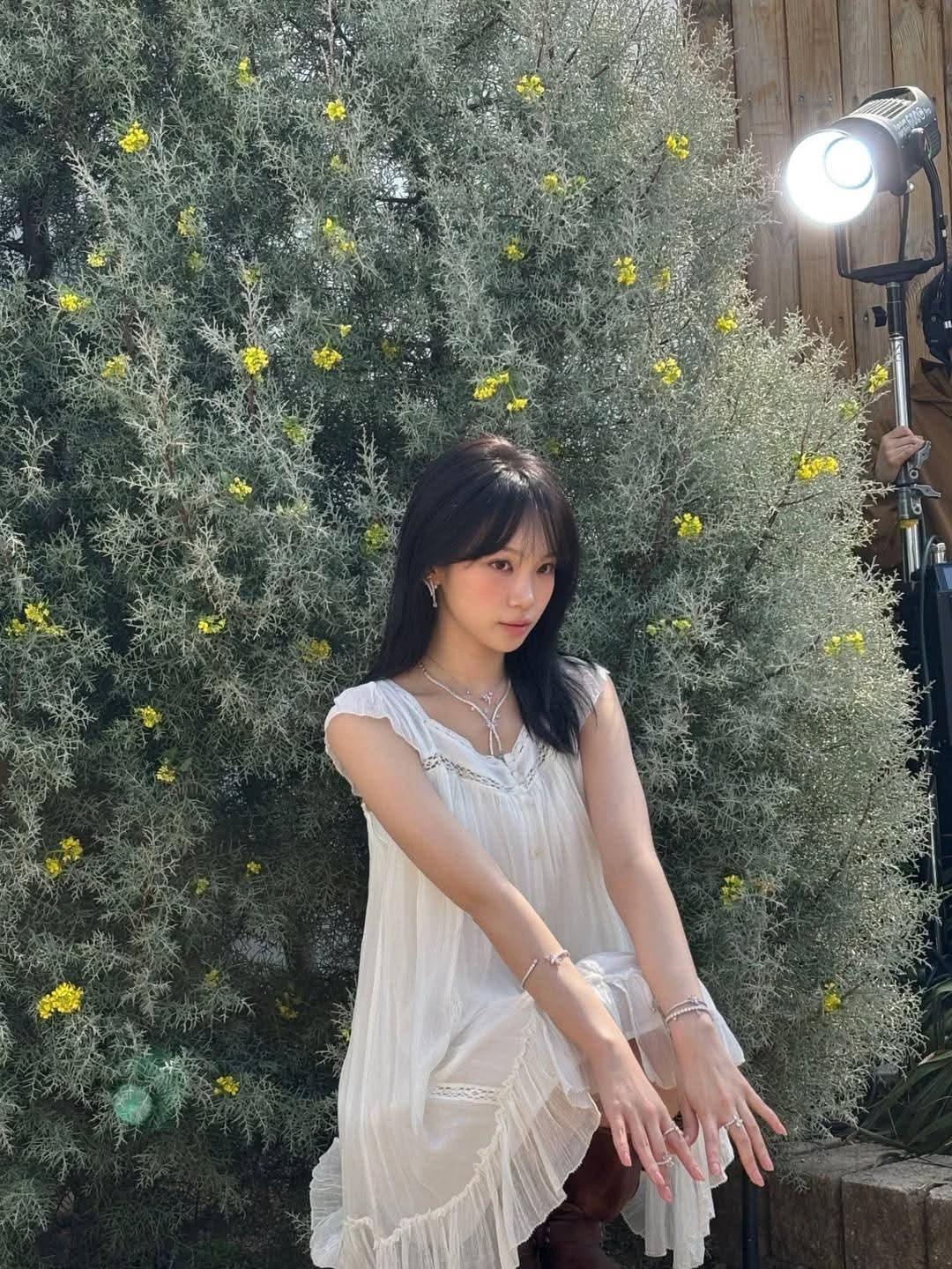 chaewon  thumbnail