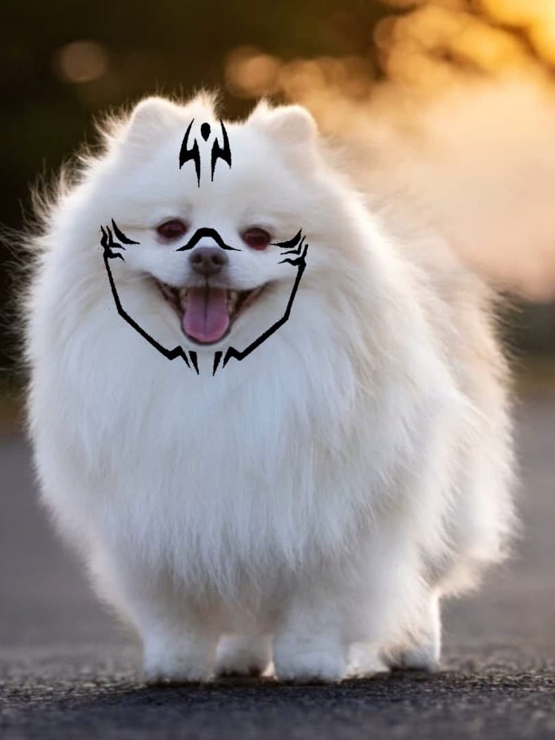 dog female Bella Gojo thumbnail