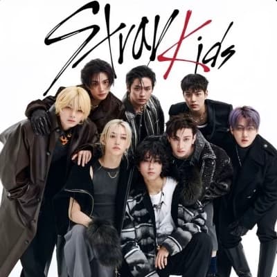 Stray Kid thumbnail