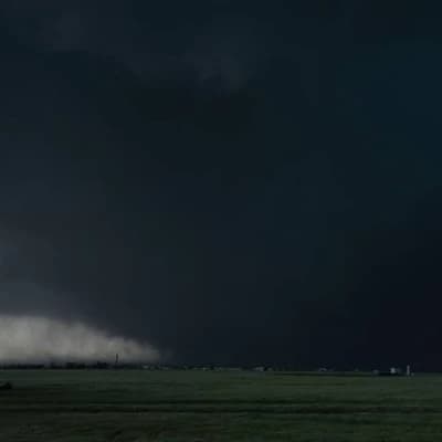 El reno 2013 thumbnail