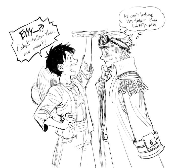 Luffy (tu) enamorado??? thumbnail