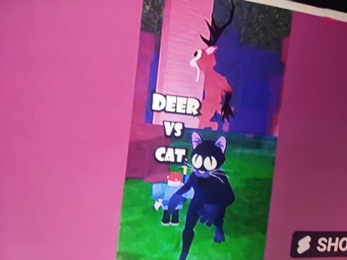 Gata de 99 noches vs deer thumbnail
