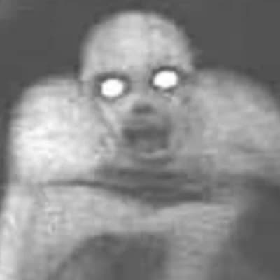 The Rake thumbnail