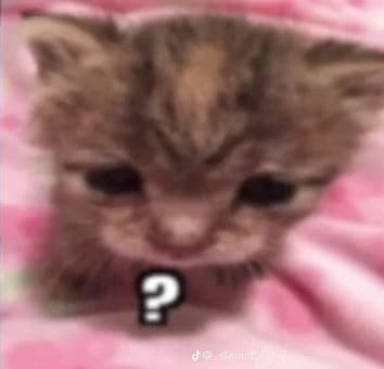 Gatito *se llama panta* thumbnail