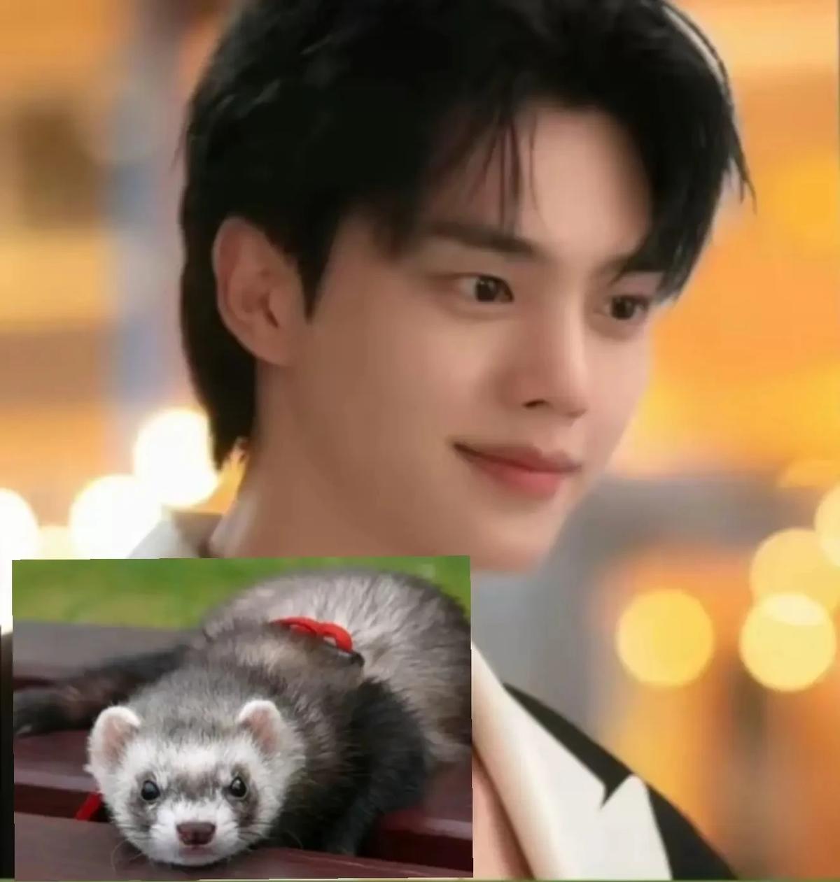 Sang kang thumbnail