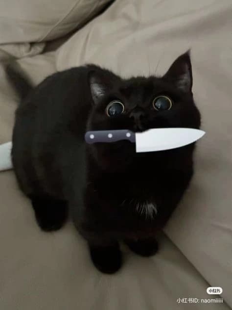Kitty thumbnail