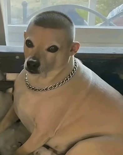 Dawg thumbnail
