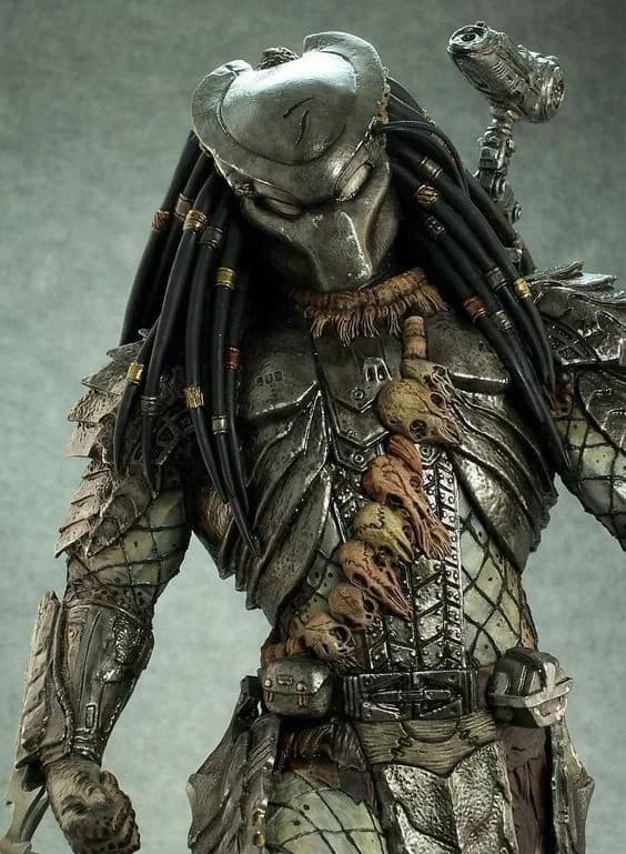 predator wolf  thumbnail