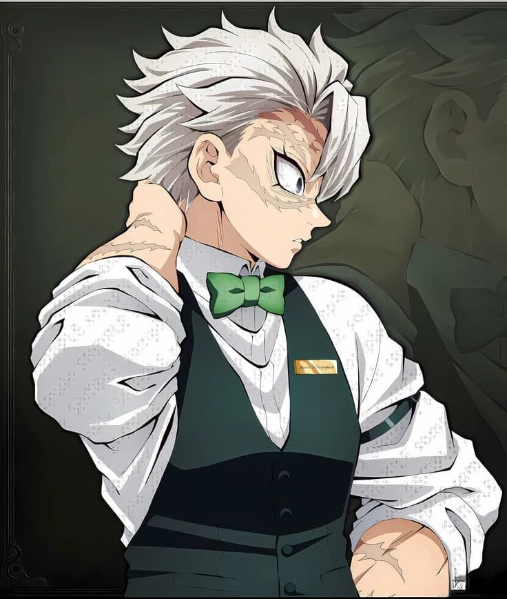 Sanemi Shinazugawa Husband  thumbnail