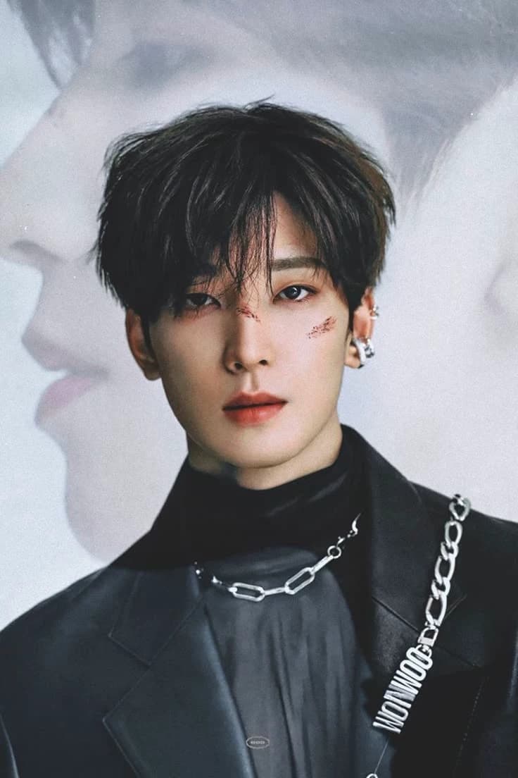 Wonwoo  thumbnail