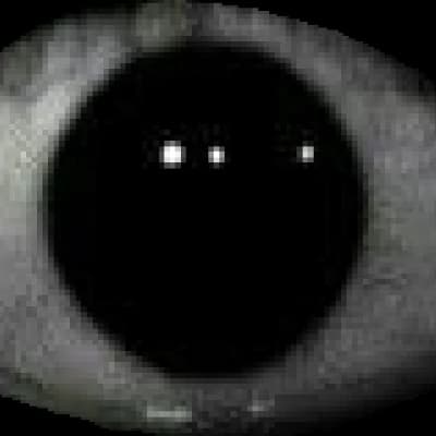 The Static Observer thumbnail