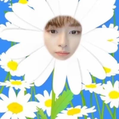 BANGCHAN, Lee know, CHANGBIN, HYUNJIN, HAN, FELIX, SEUNGMIN, I.N thumbnail