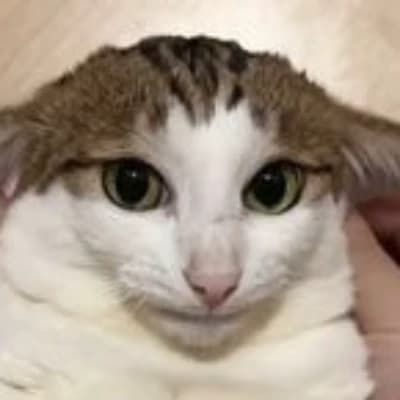 Uncle Bao thumbnail