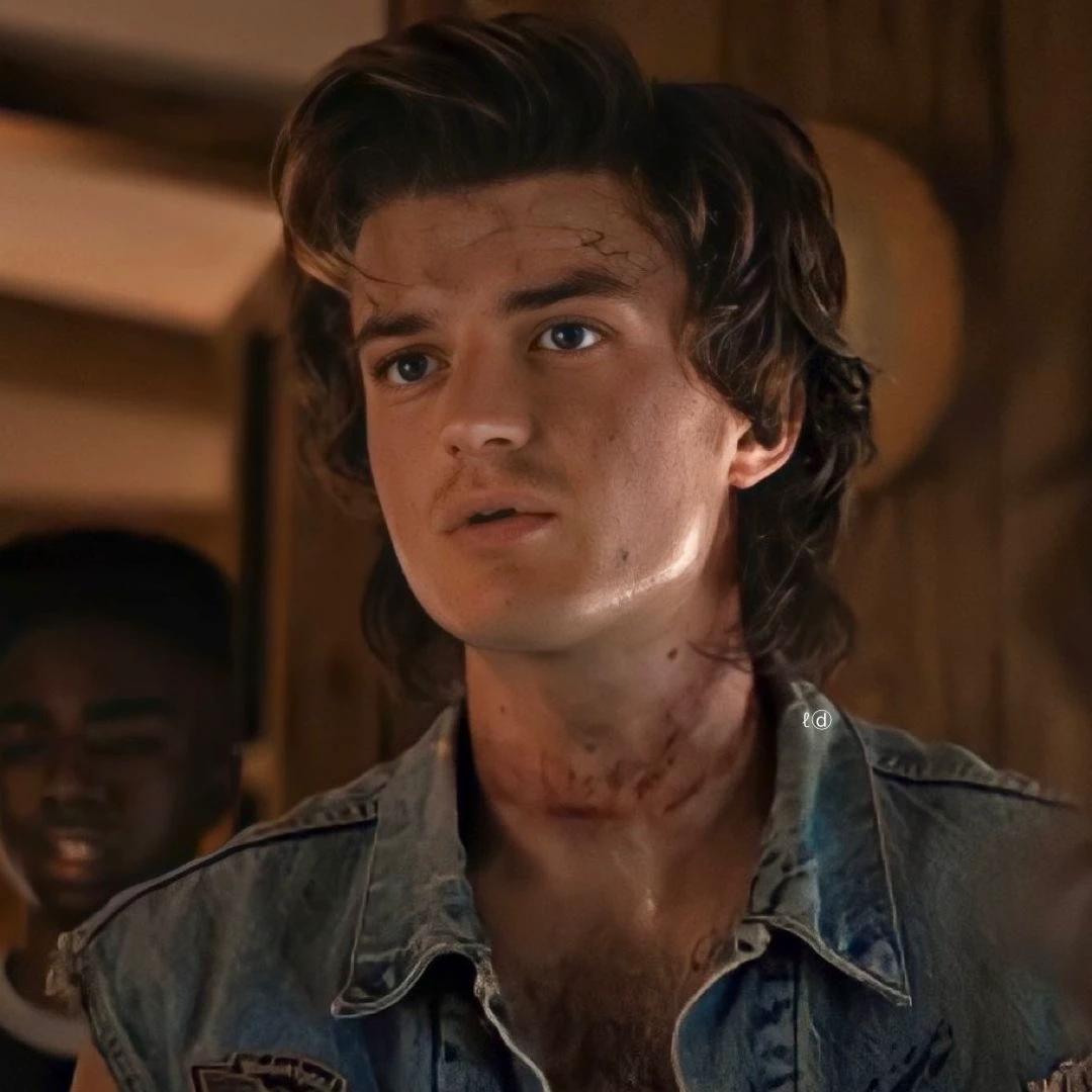 Steve Harrington thumbnail