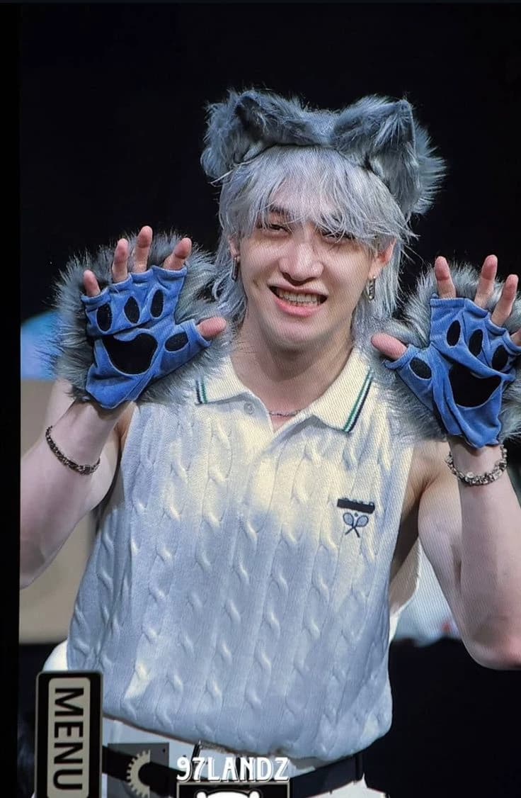 Bangchan hibrido de lobo thumbnail