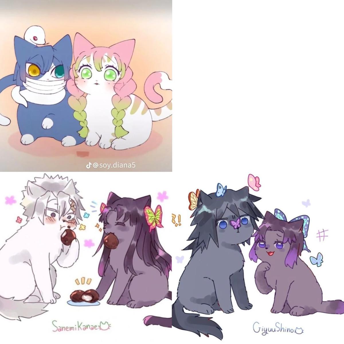 Your cats thumbnail