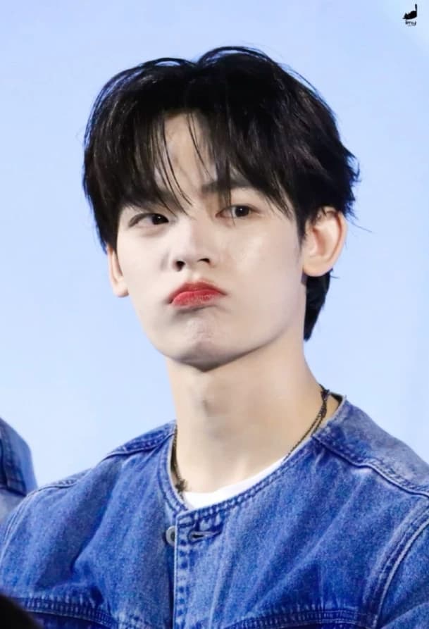 Qin shaa thumbnail