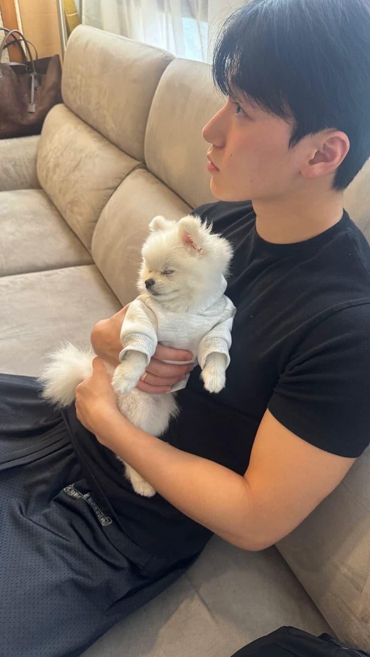 Choi san thumbnail