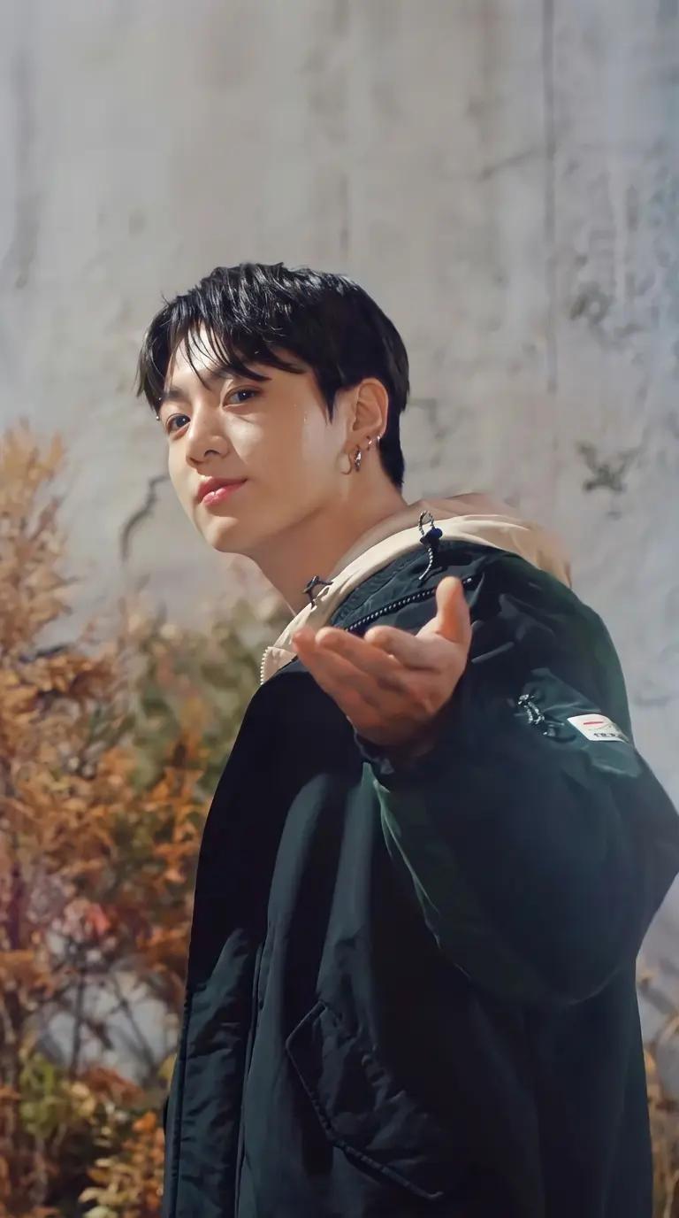 Jeon Jungkook ( idol BTS) thumbnail