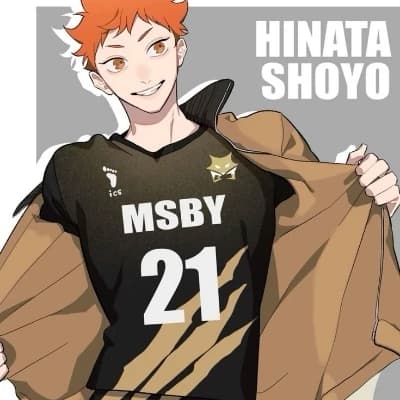 Shoyo Hinata thumbnail