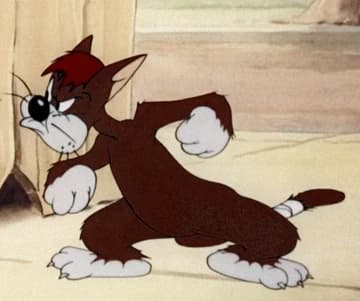 Meathead Cat thumbnail