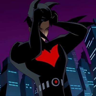Terry McGinnis thumbnail