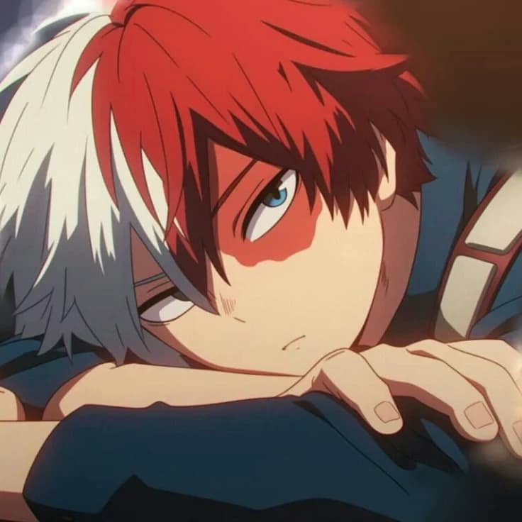 Shoto todoroki  thumbnail