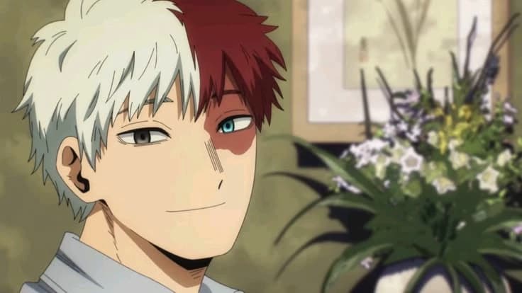 Shoto Todoroki (Pro Hero) thumbnail