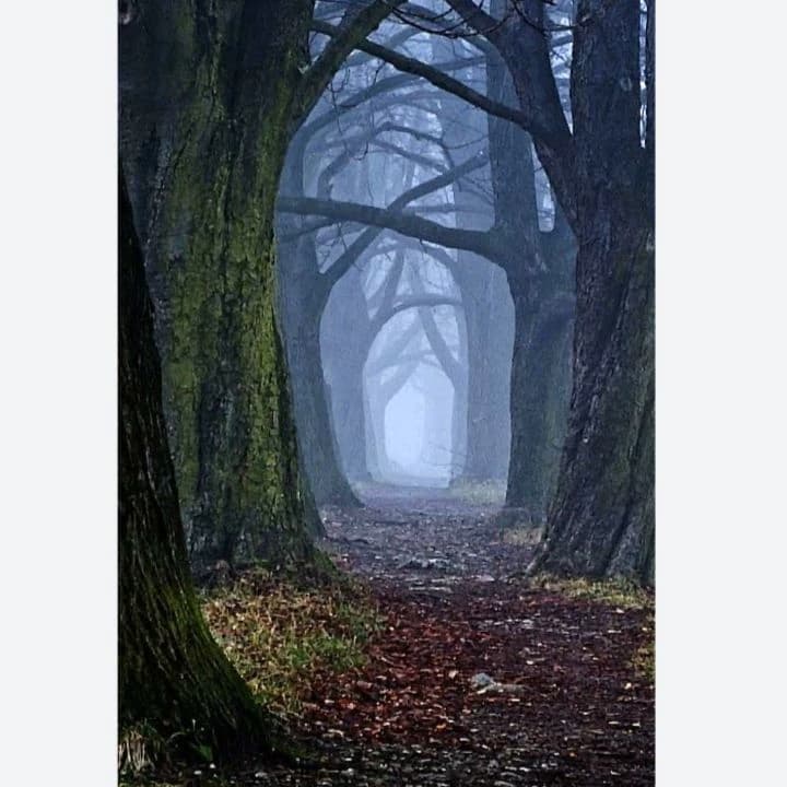 Ghost thumbnail