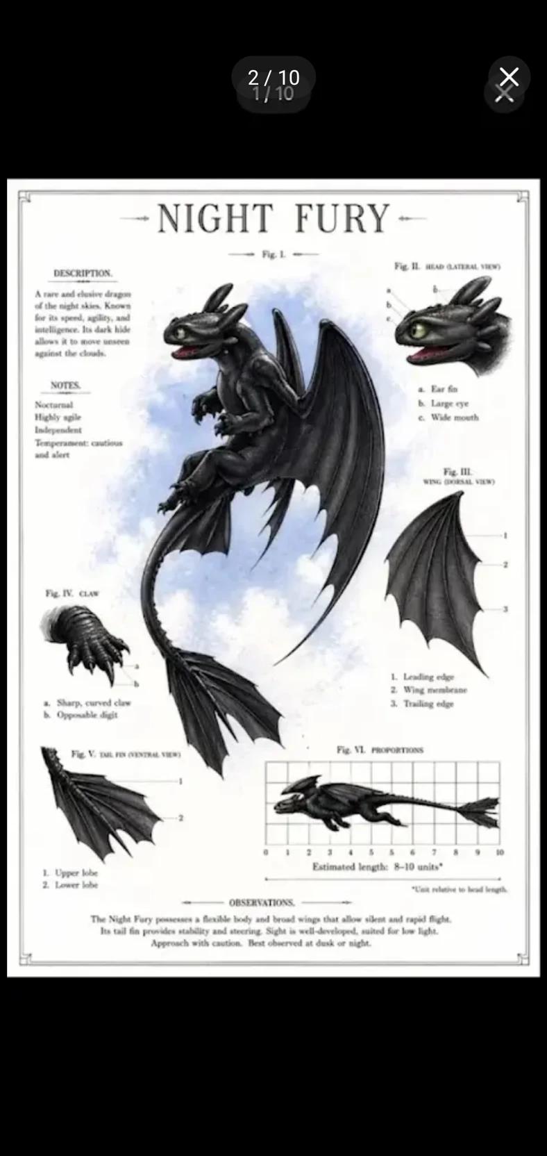 Toothless  thumbnail
