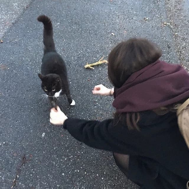 Hana Kimi  thumbnail