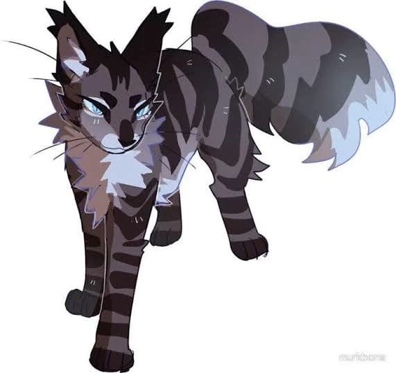 Hawkfrost | warrior cats thumbnail