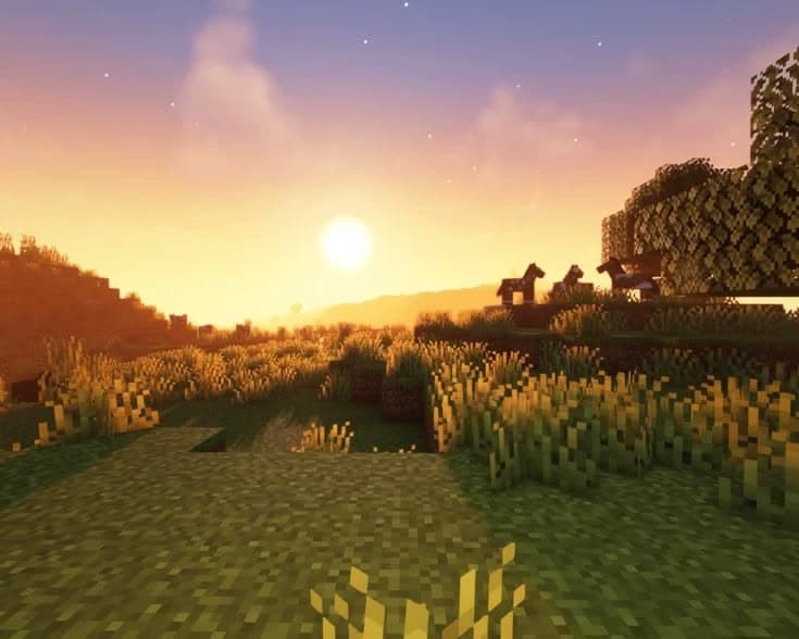 Sejo thumbnail