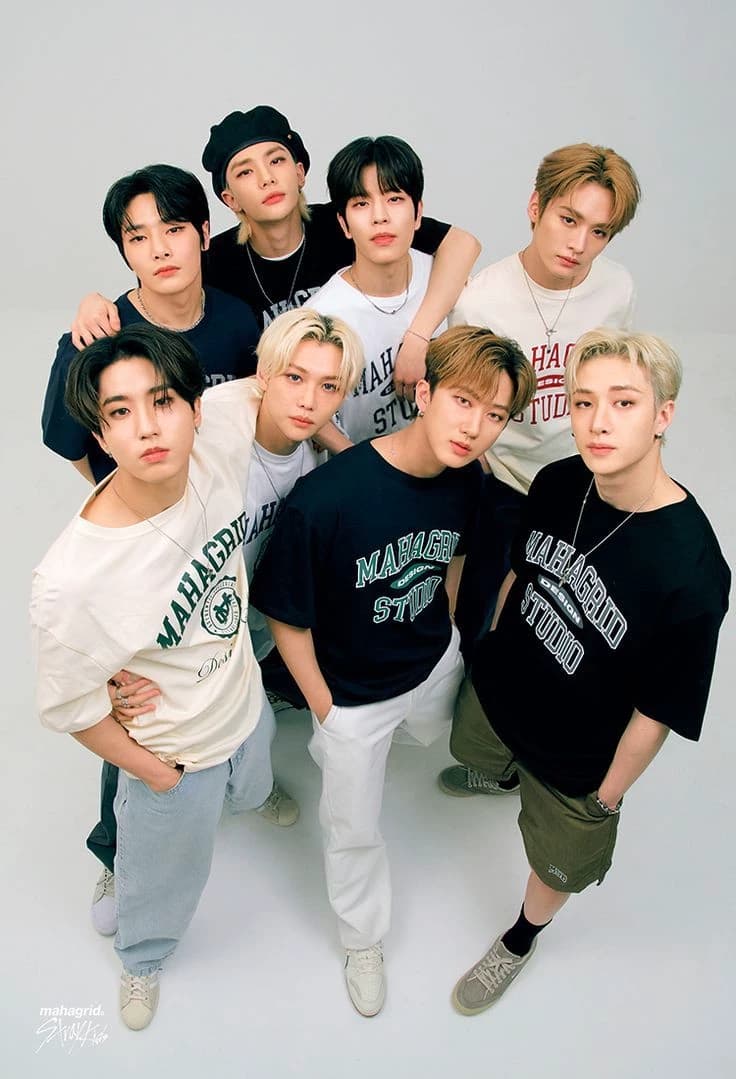 Stray kids  thumbnail