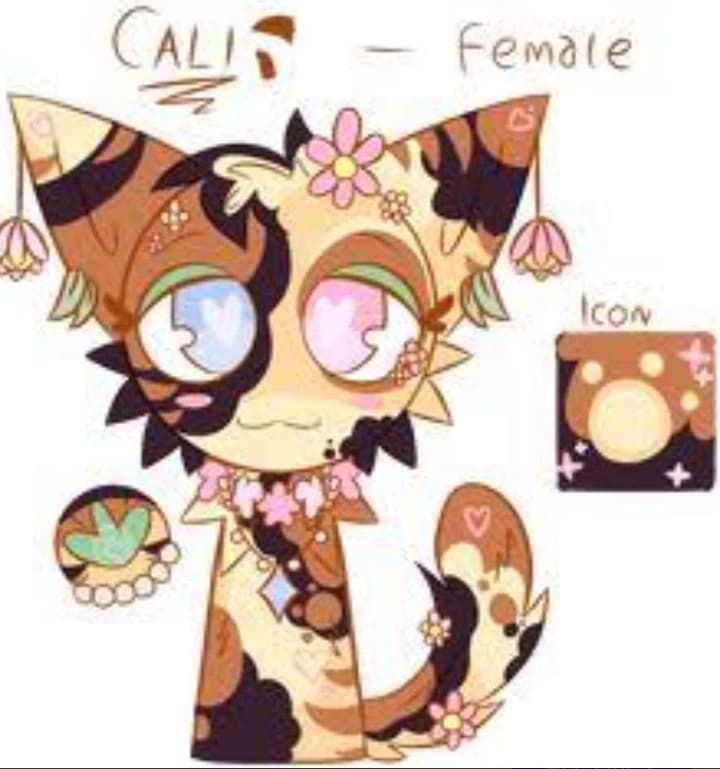 Cali  thumbnail