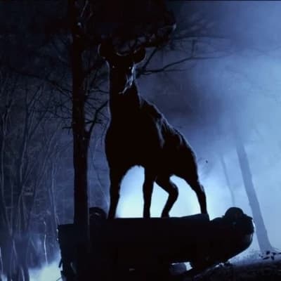 Bambi thumbnail