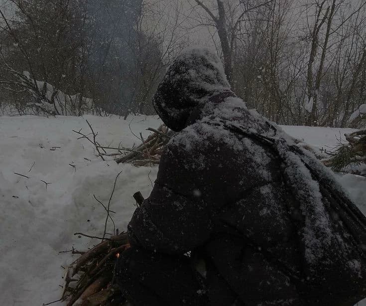 Russian Forester thumbnail