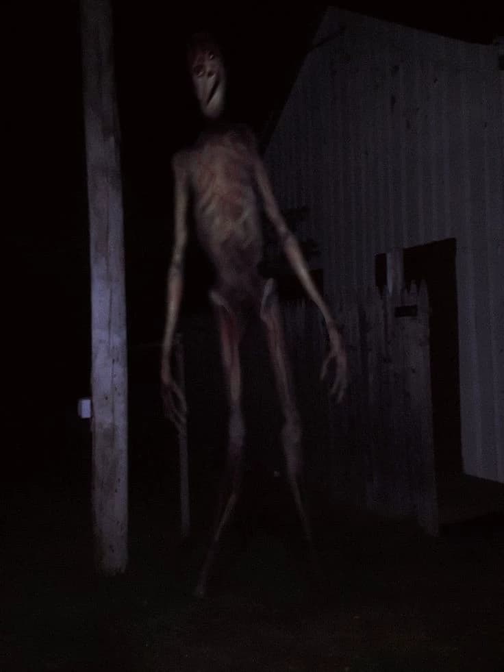 Creature from the forest thumbnail