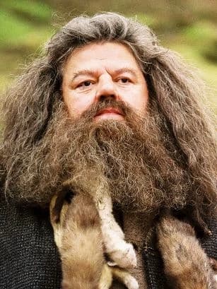 Rubeus Hagrid thumbnail