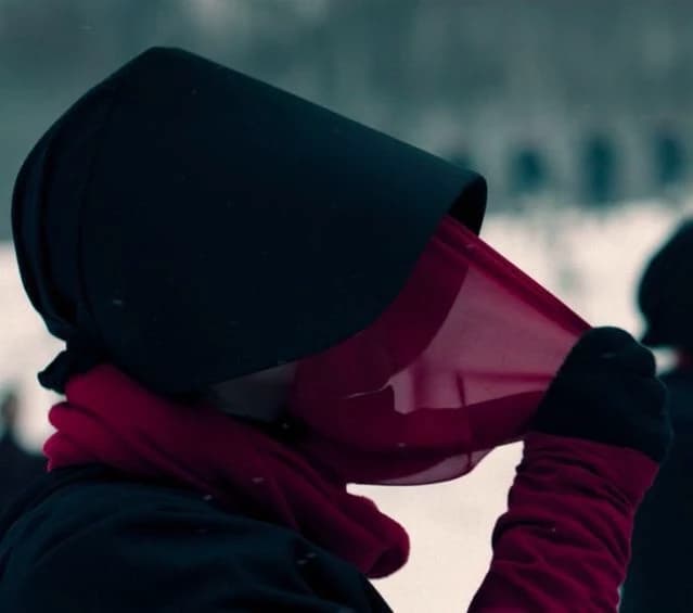 Assigned Handmaid thumbnail