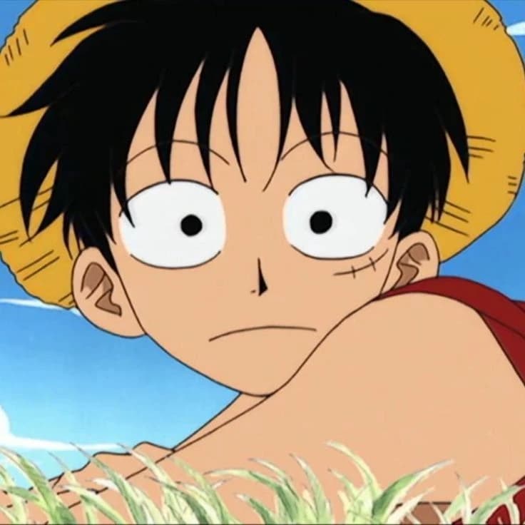 Monkey D. Luffy  thumbnail