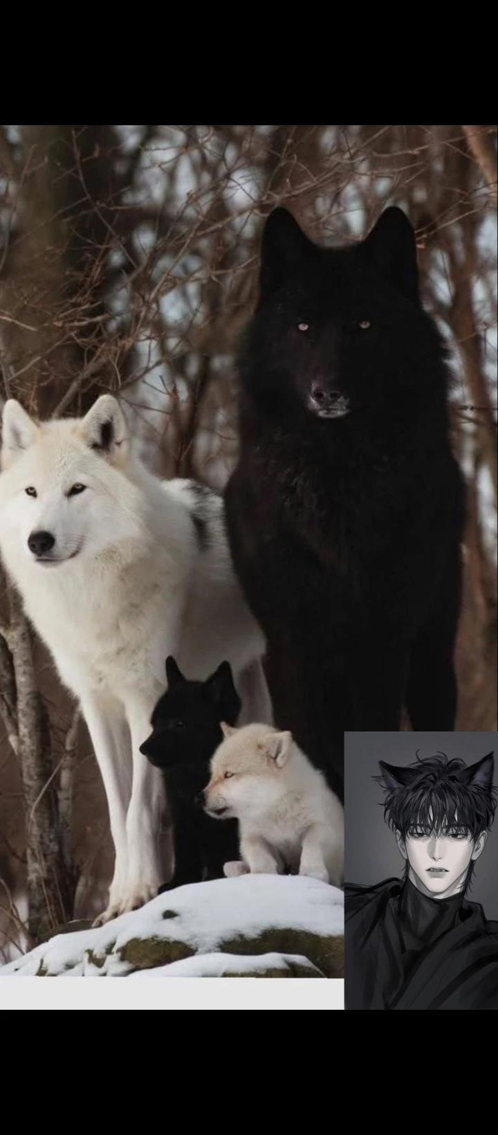 Fang - wolf bl thumbnail