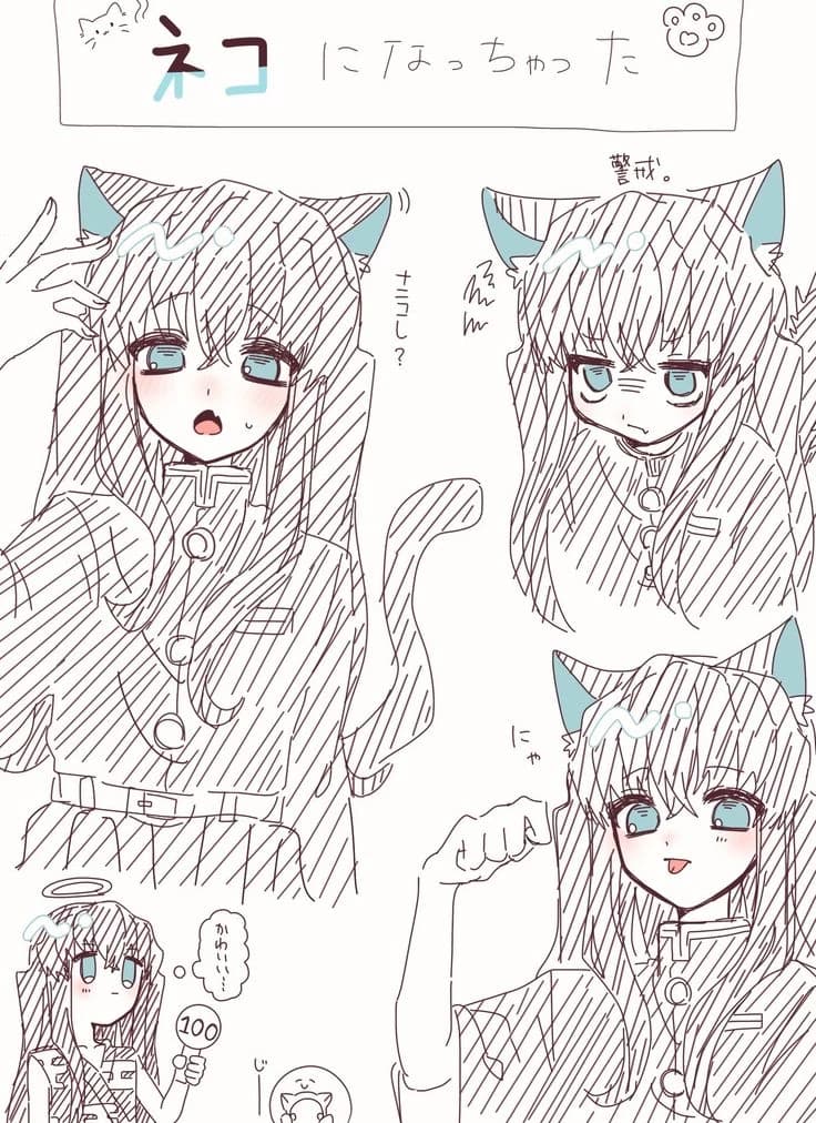 Muichiro-semi gato. o(〃＾▽＾〃)o thumbnail