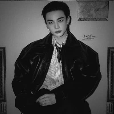 Mr. Hwang (Hyunjin) thumbnail