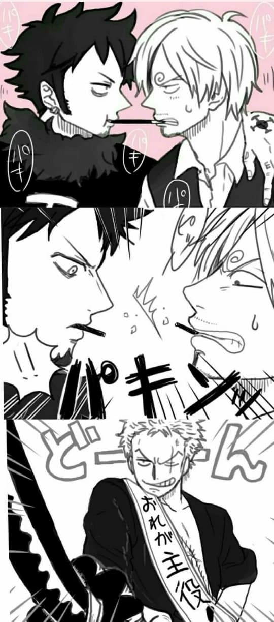 Zoro x Sanji x Law (BL)  thumbnail