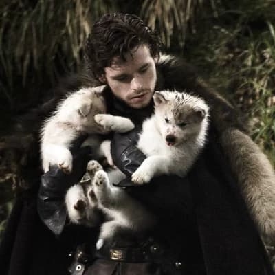 Robb Stark thumbnail
