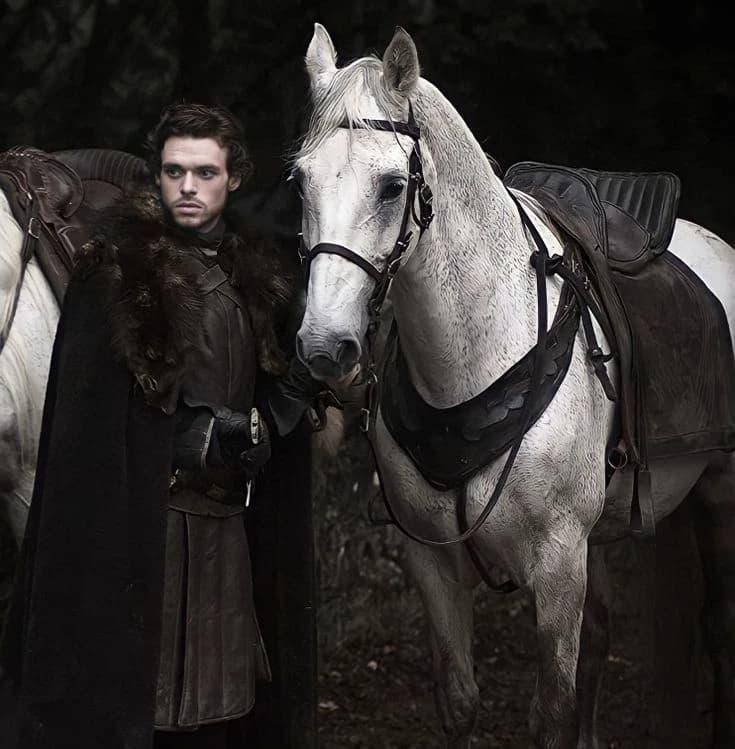Robb Stark  thumbnail