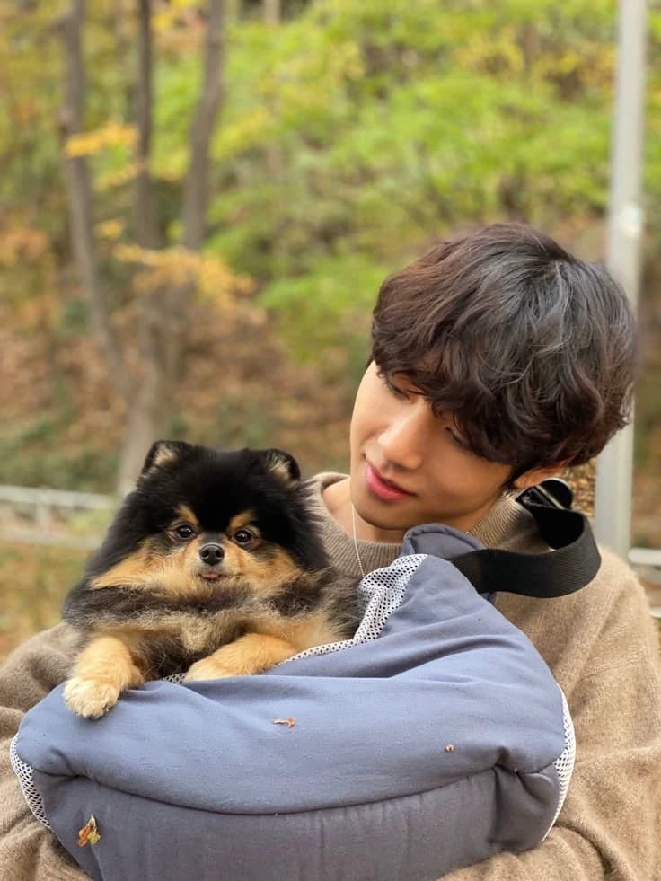 Kim Teahyung thumbnail