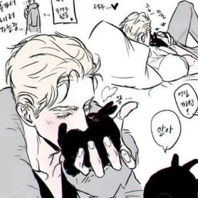 YOU'RE THE RABBIT thumbnail
