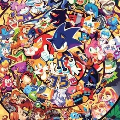 The Team Sonic thumbnail